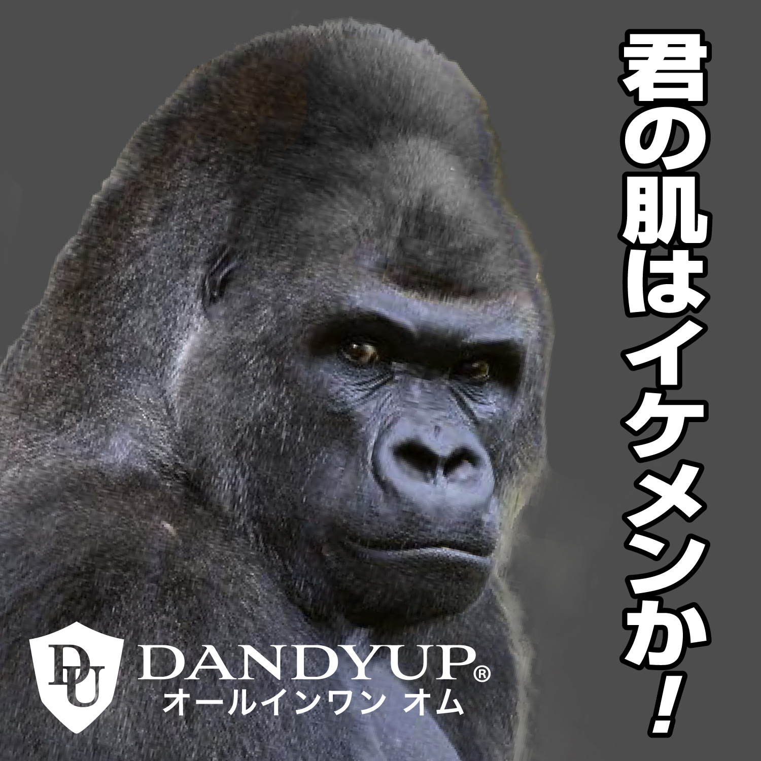 5つの機能を一つに凝縮したメンズオールインワン化粧品