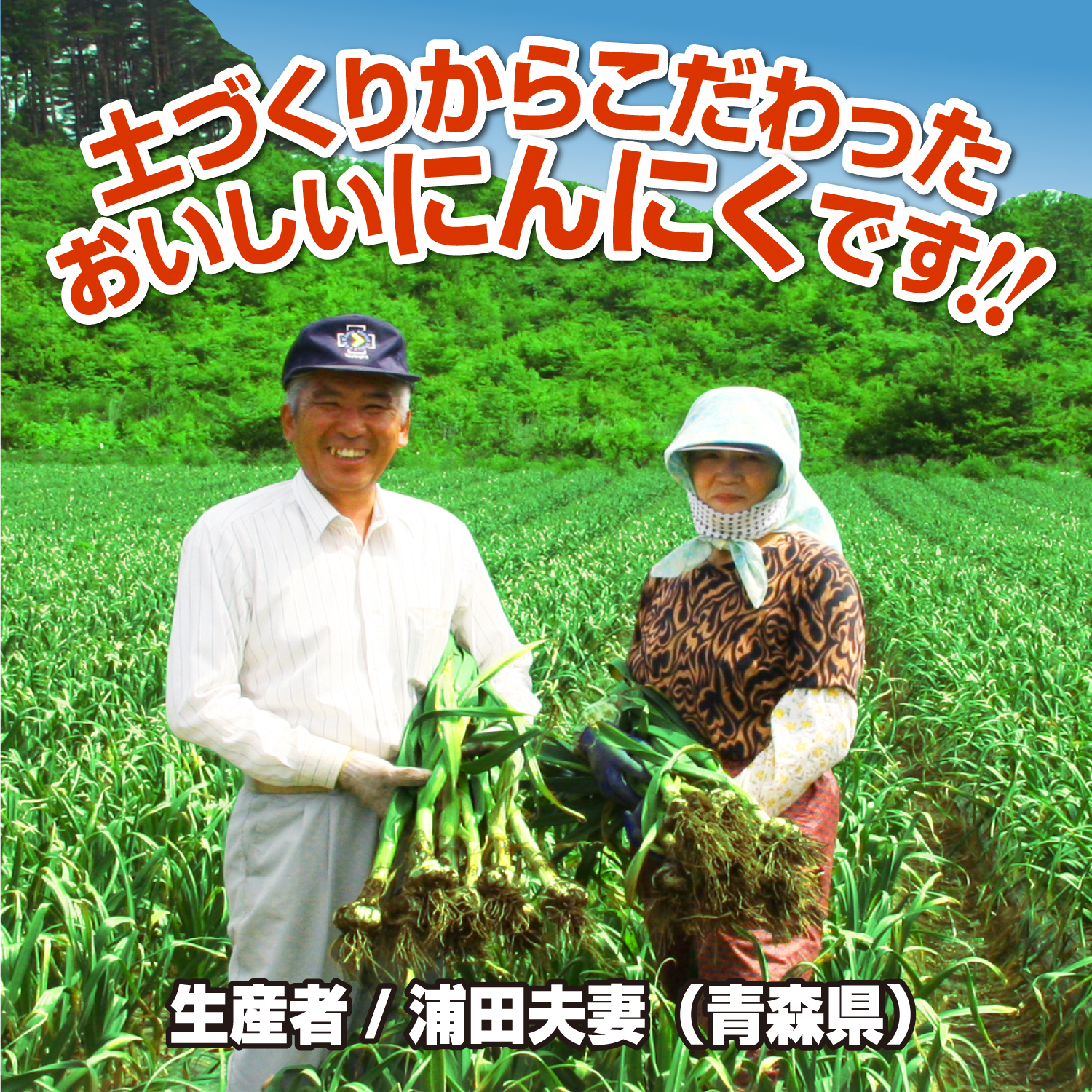 青森県産の“福地ホワイト”を使用