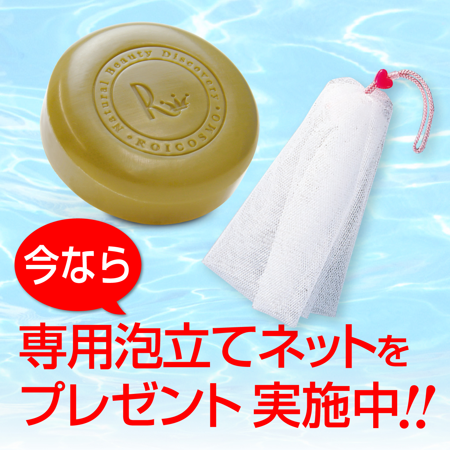 専用の泡だてネットを1本プレゼント実施中