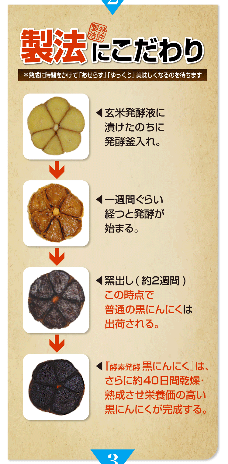 ◎在庫限り◎黒ウコン◎球根◎芽出し種芋◎ブラックジンジャー◎脂肪燃焼◎自然栽培◎ Amazon.co.jp: 種いも 黒ウコン 250g / 国華園 25年春商品 : DIY