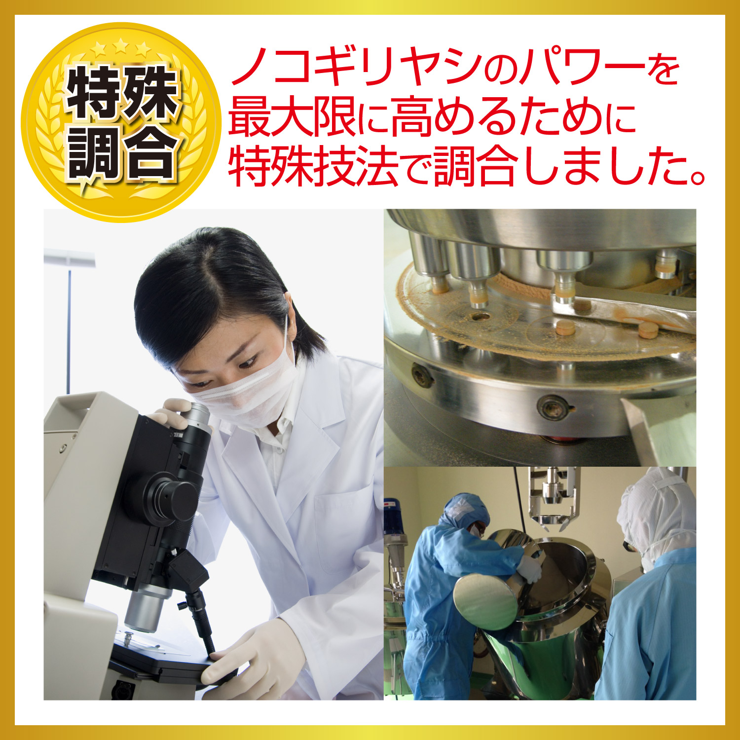 すぐピタ ノコギリヤシ