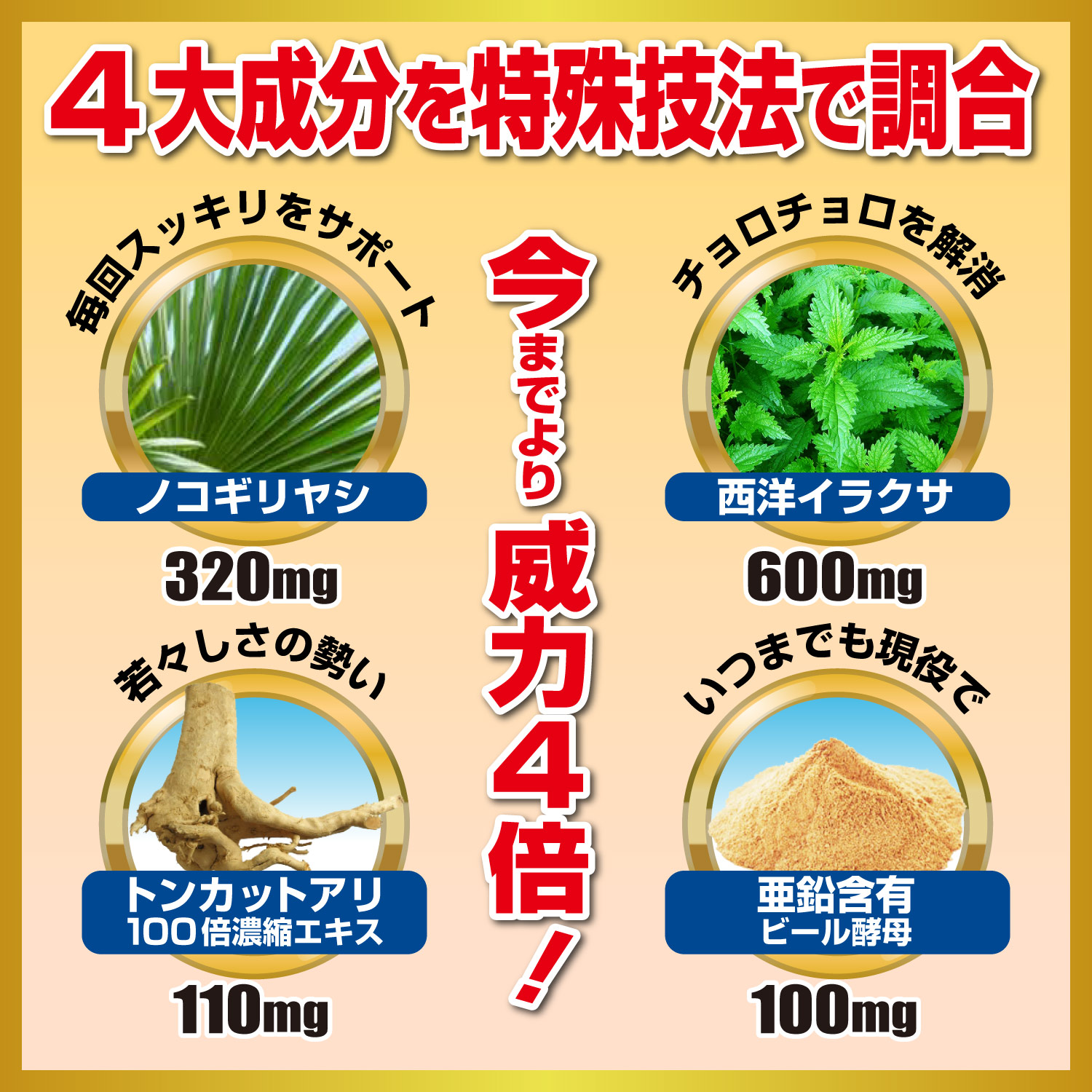 すぐピタ ノコギリヤシ