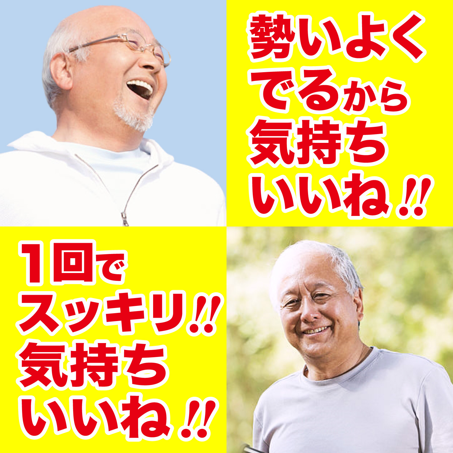 すぐピタ ノコギリヤシ