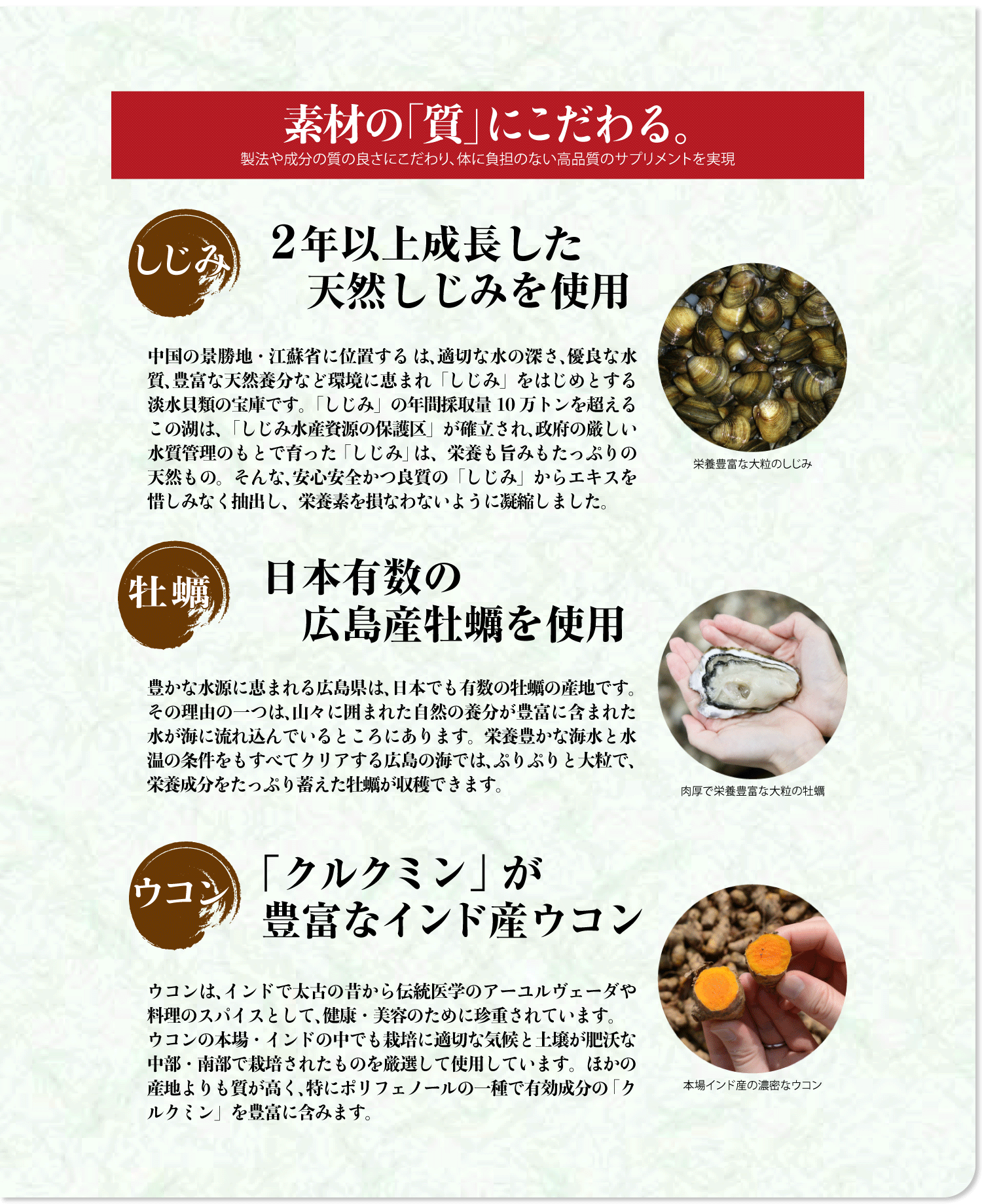 しじみの入った牡蠣ウコン