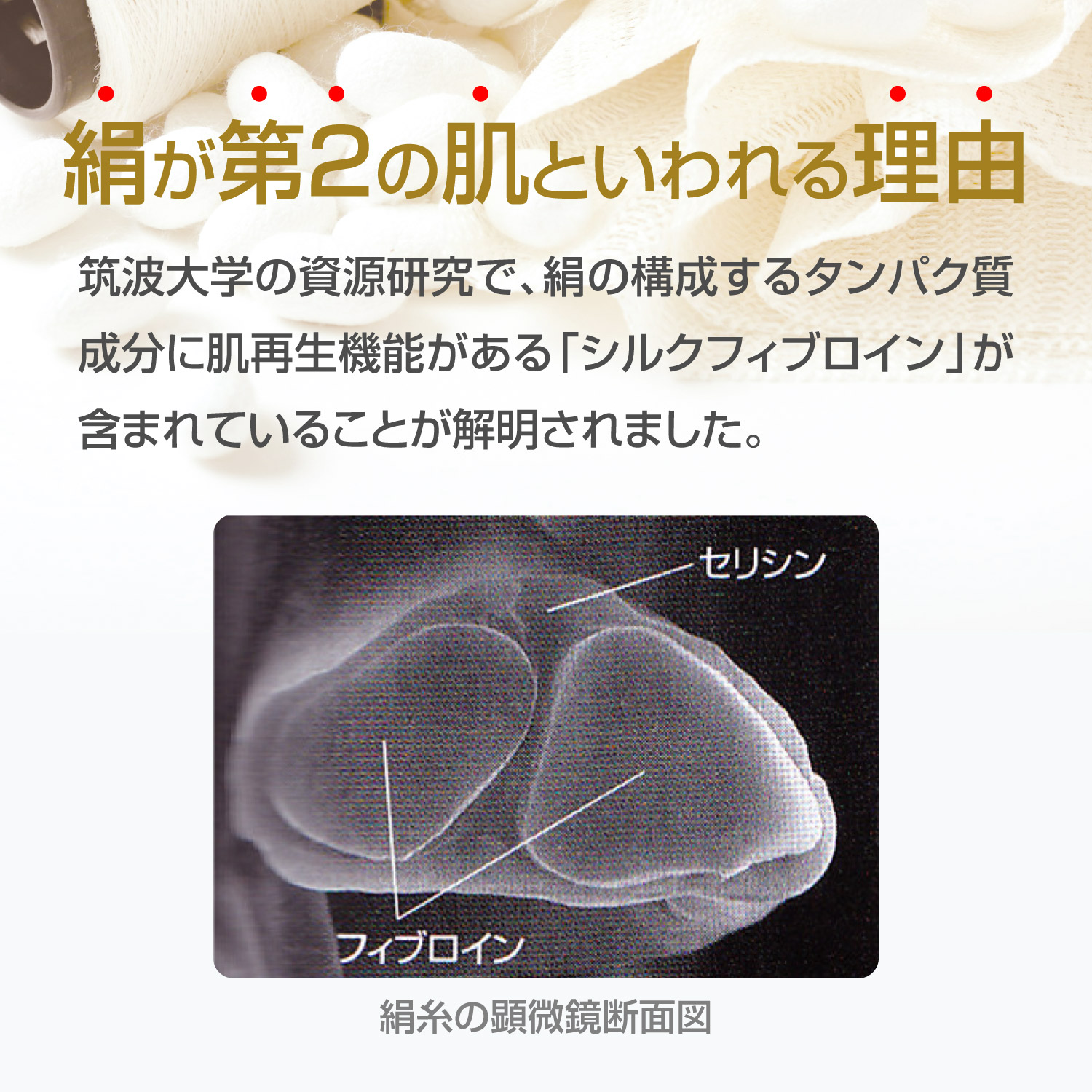 絹が第2の肌といわれる理由