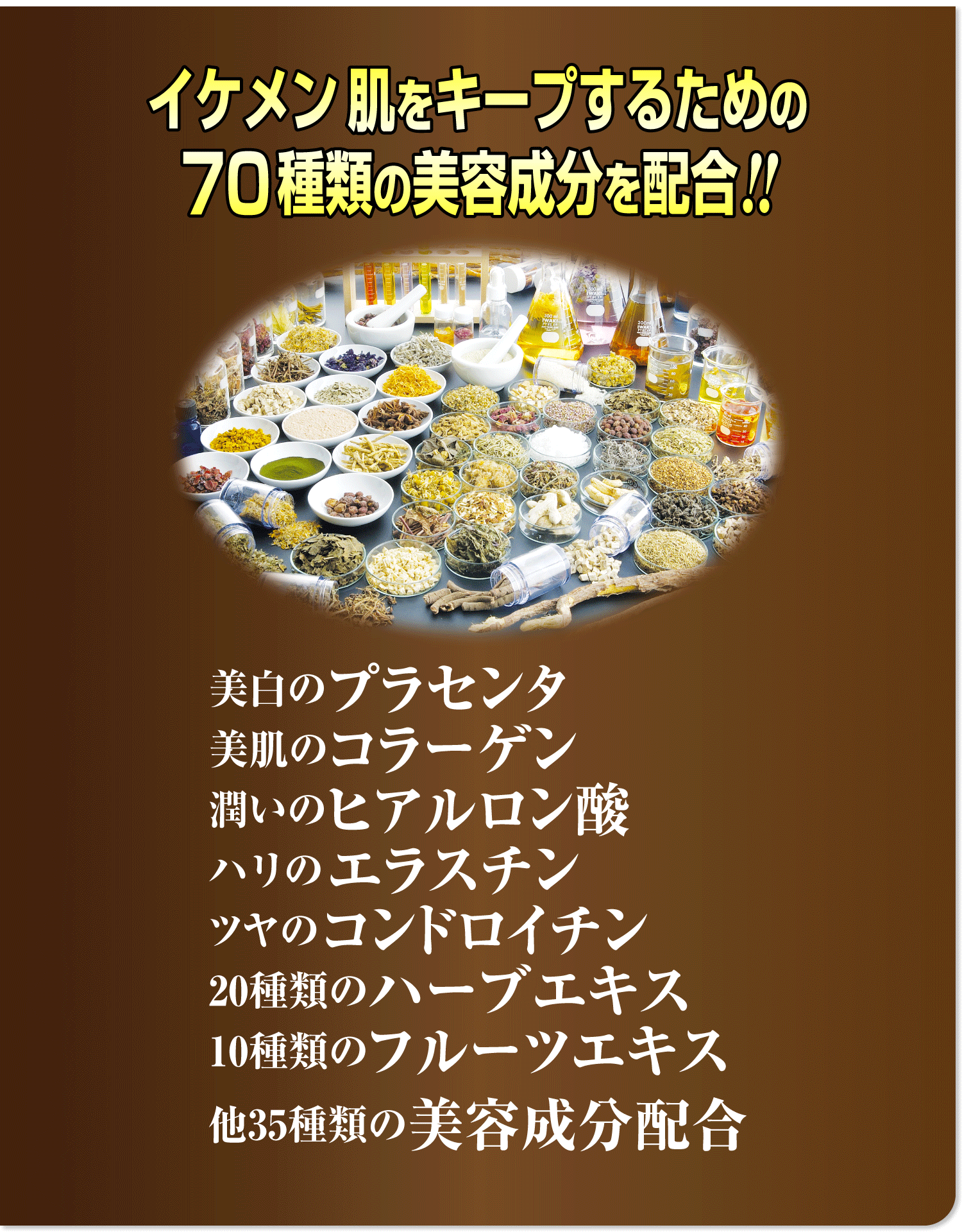 ダンディーアップ