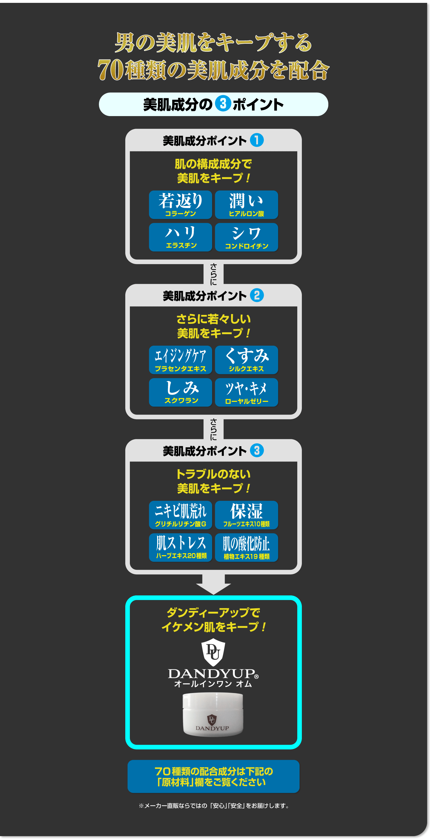 ダンディーアップ