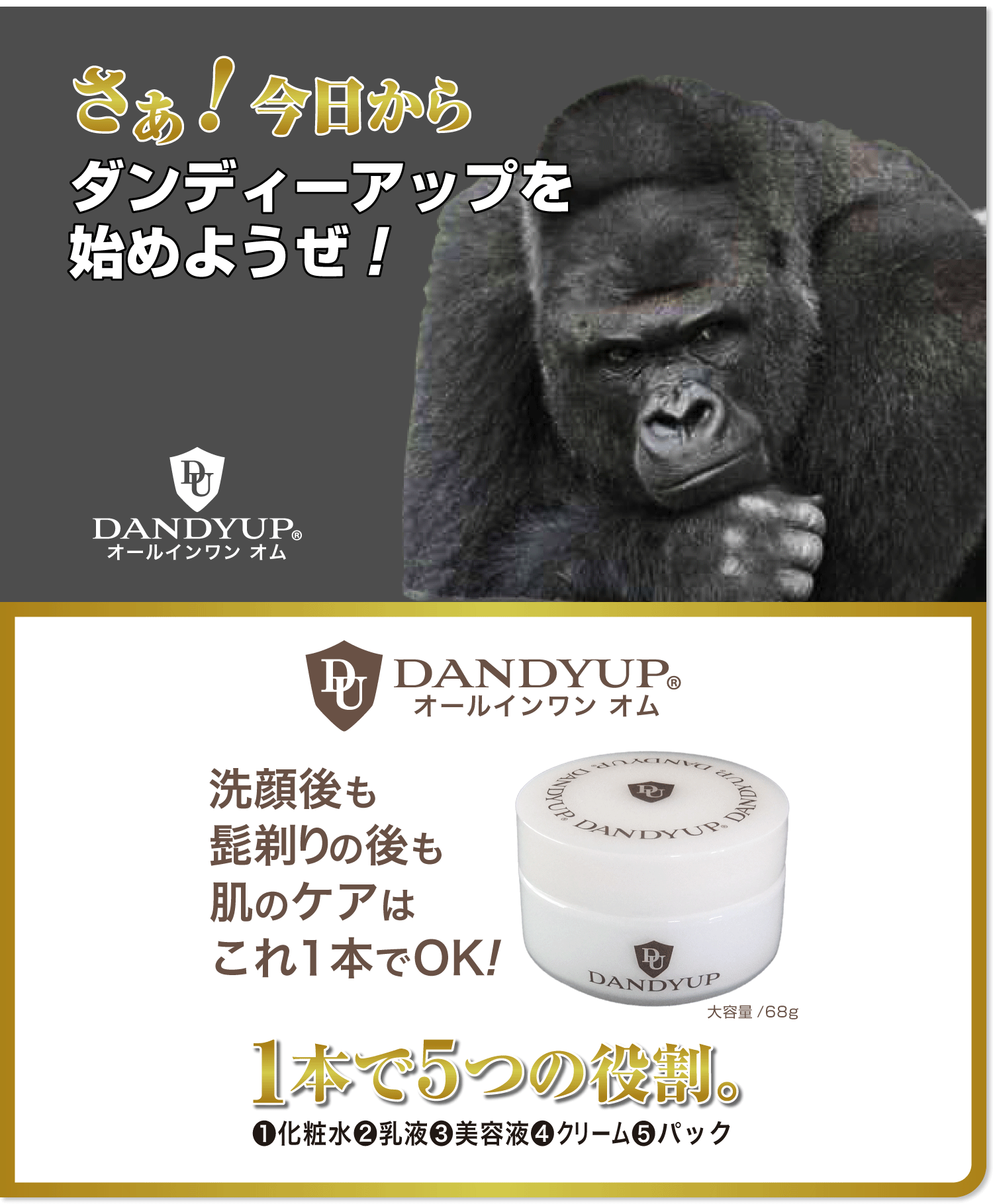 ダンディーアップ