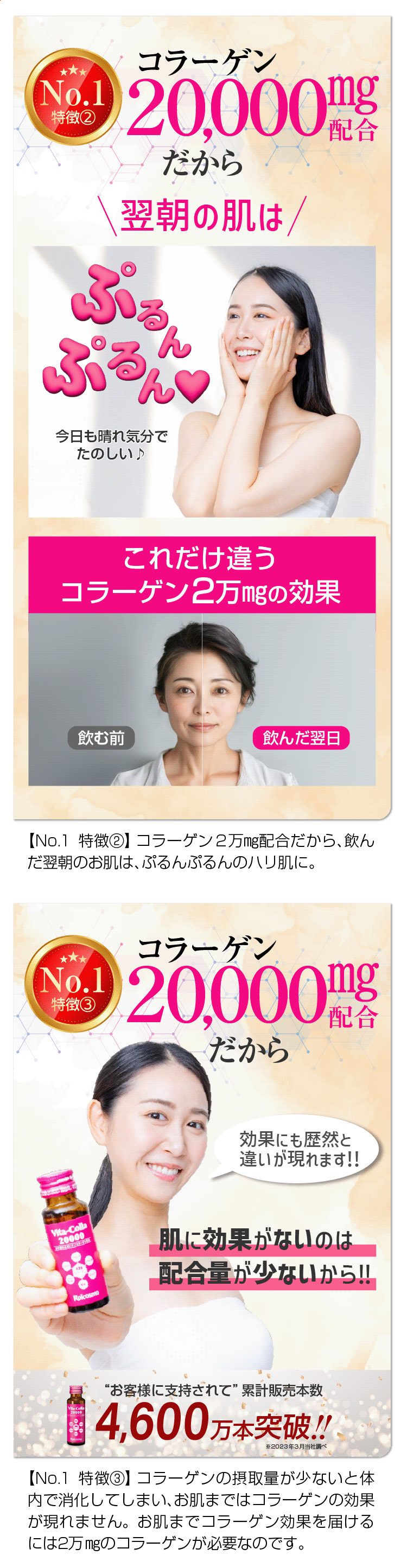 SALE 3箱 12％OFF】ビタコラ20000 (50ml)10本入り×3箱 | 株式