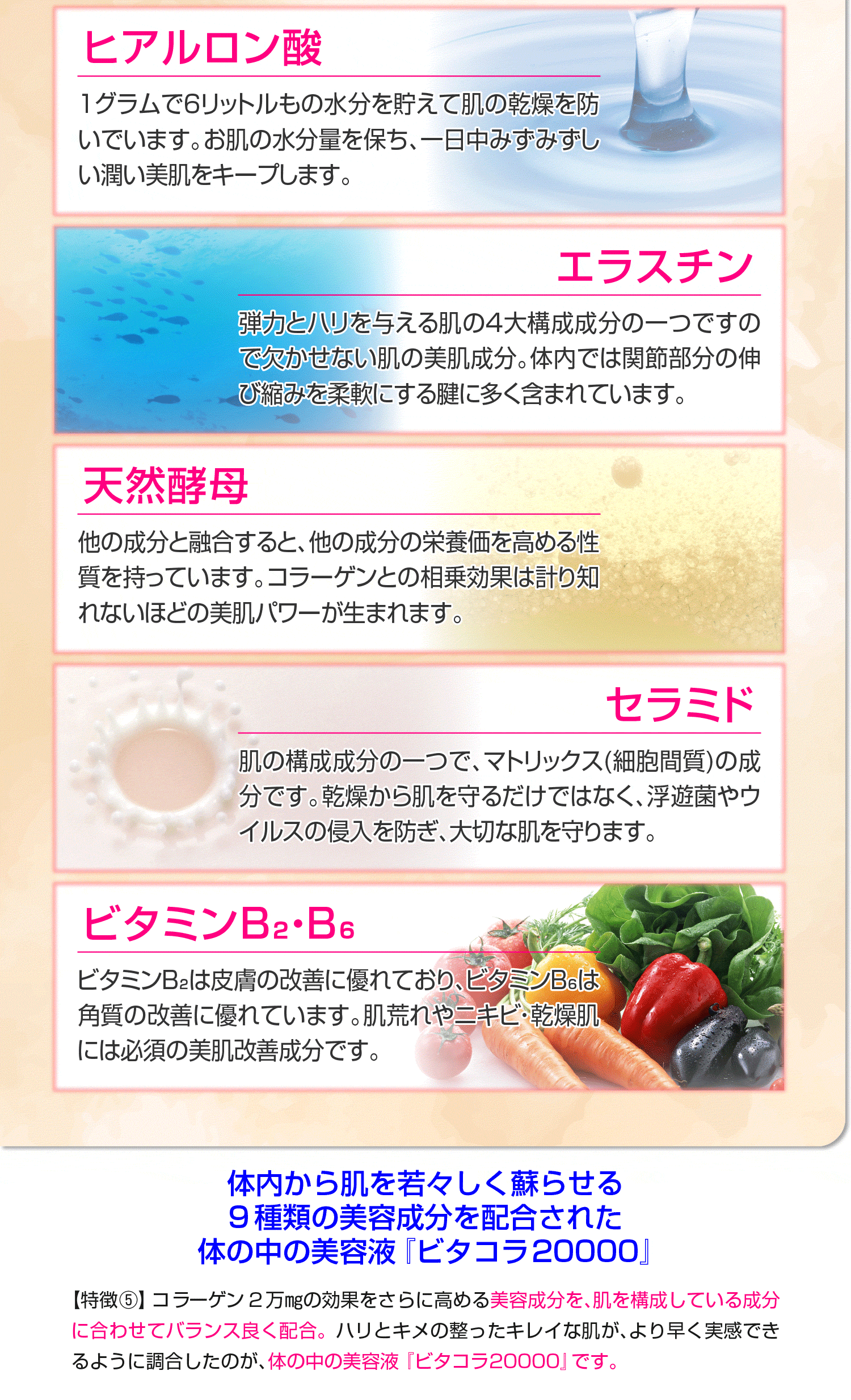 ビタコラ