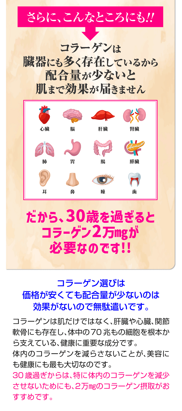 ビタコラ