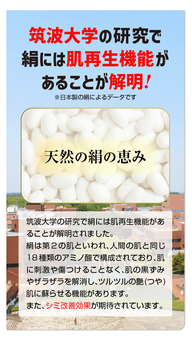 絹の艶姫シルク垢すり