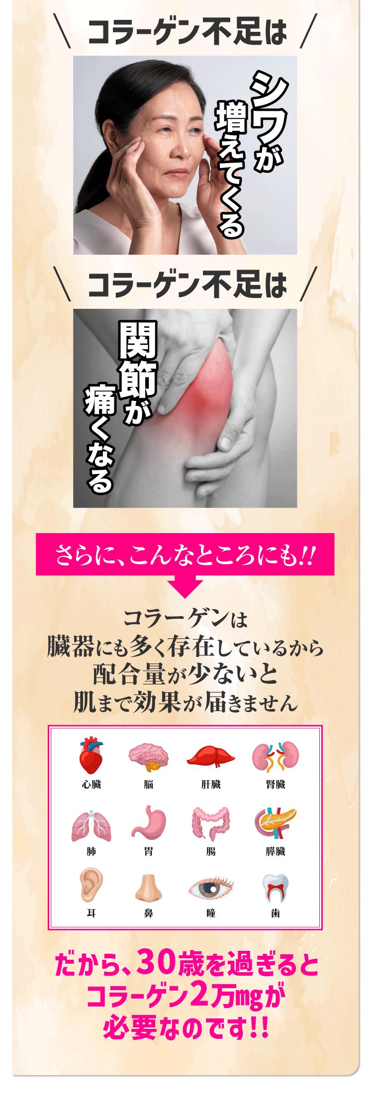 ビタコラ