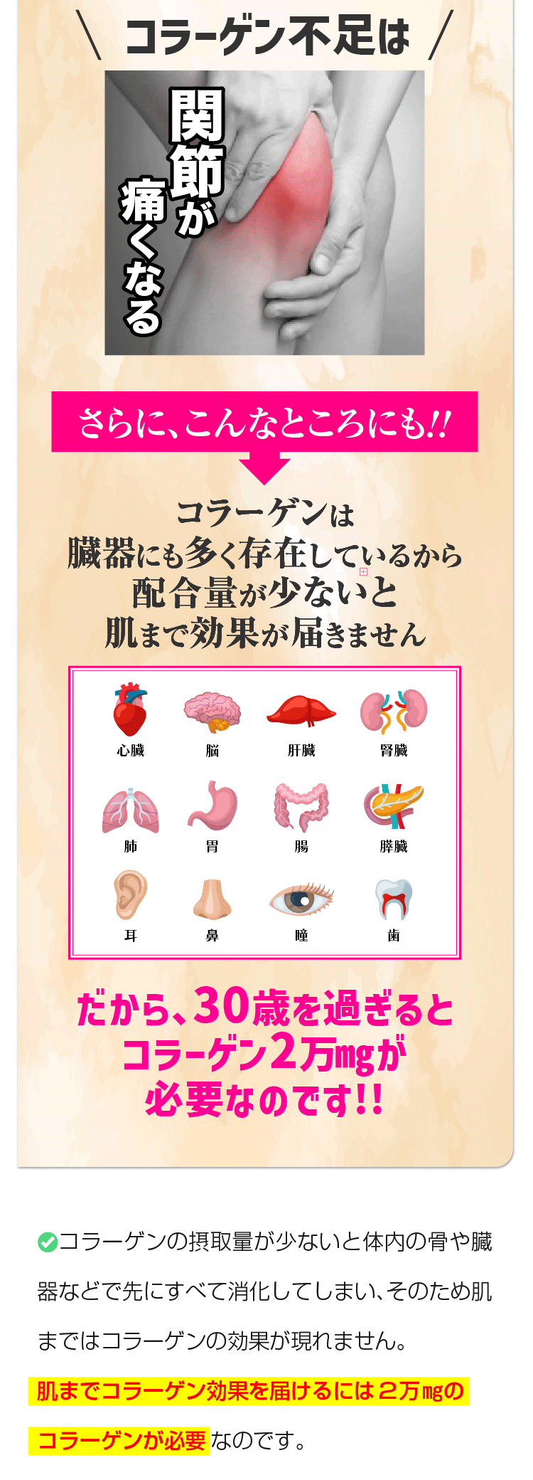 ビタコラ