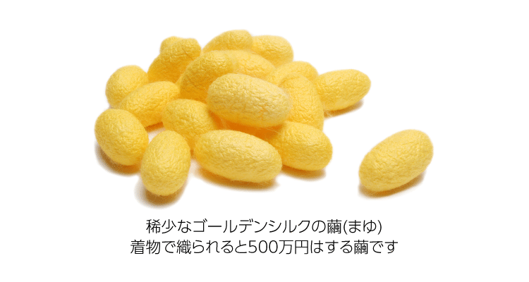 ゴールデンシルクオーガニックシャンプー&トリートメント