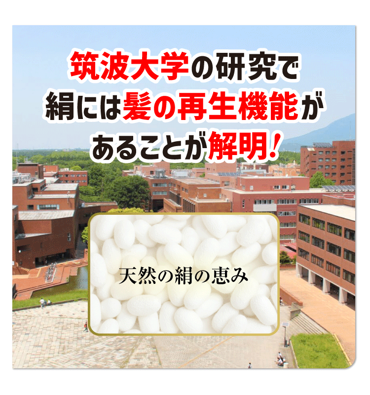 ゴールデンシルクオーガニックシャンプー&トリートメント