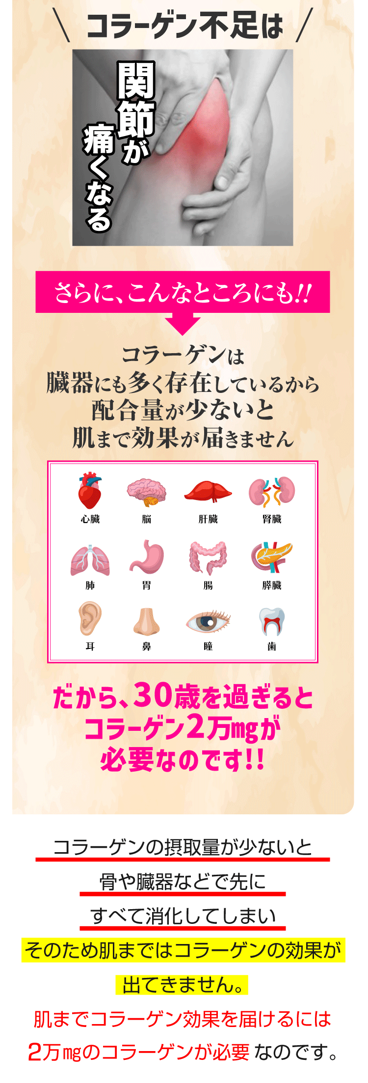 ビタコラ
