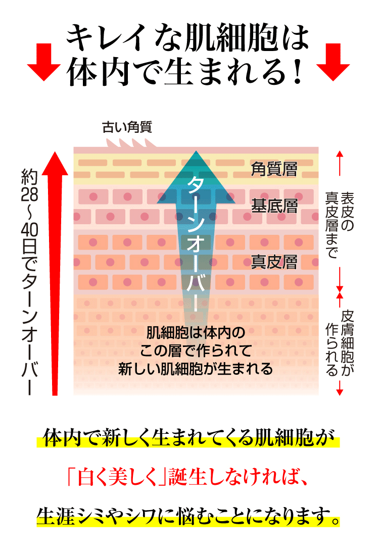 プラセンタ 効果 肌