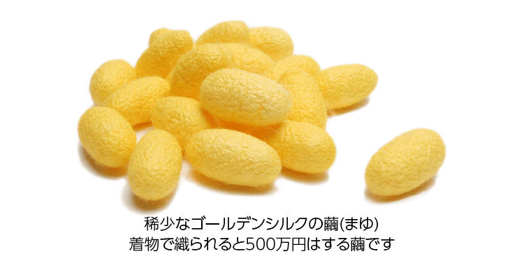 ゴールデンシルクオーガニックシャンプー&トリートメント