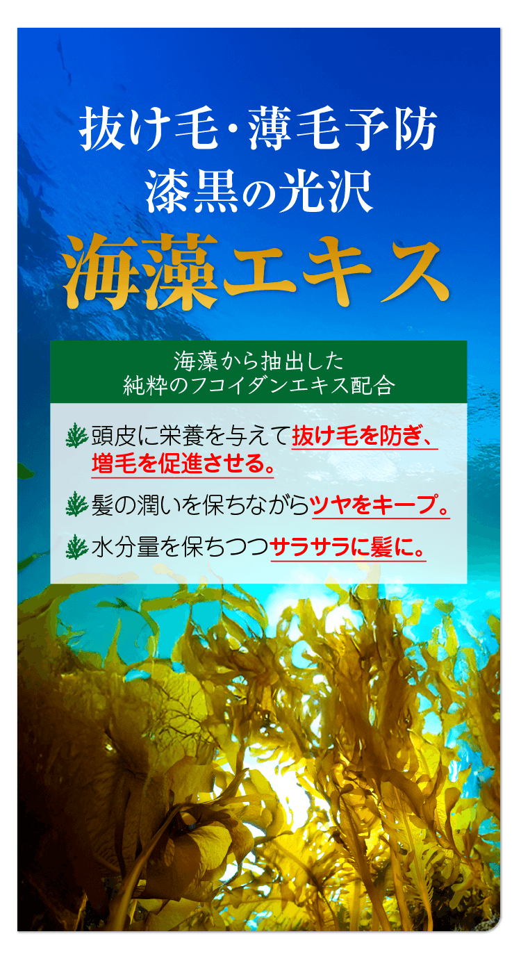 ゴールデンシルクオーガニックシャンプー&トリートメント