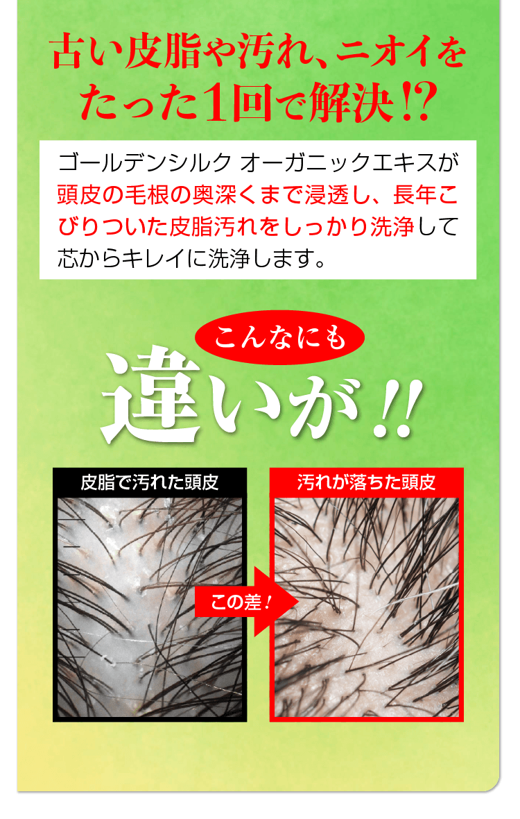 ゴールデンシルクオーガニックシャンプー&トリートメント
